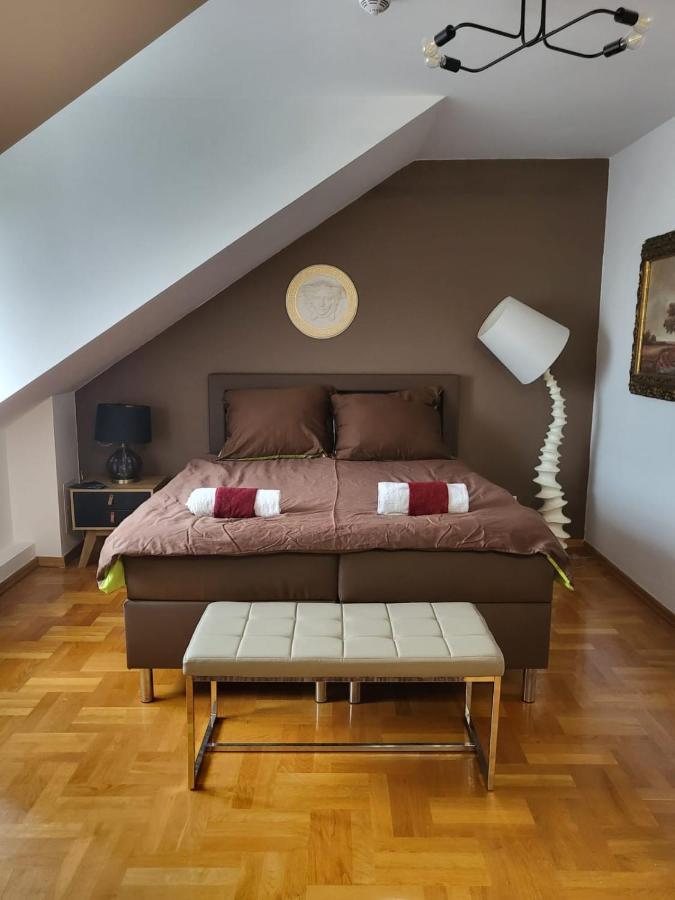 The Castle Suites & Apartment - Free Parking - (Adults Only) Krakow Bagian luar foto